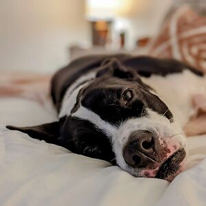 scottrylander avatar