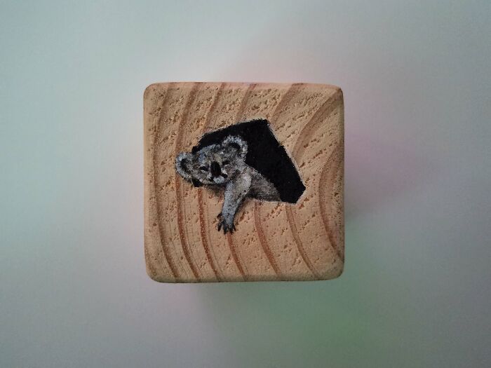I Paint Animals On Wooden Cubes (12 Pics)