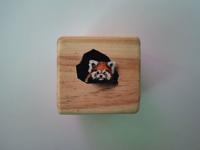 I Paint Animals On Wooden Cubes (12 Pics)