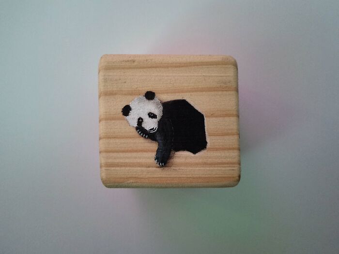 I Paint Animals On Wooden Cubes (12 Pics)