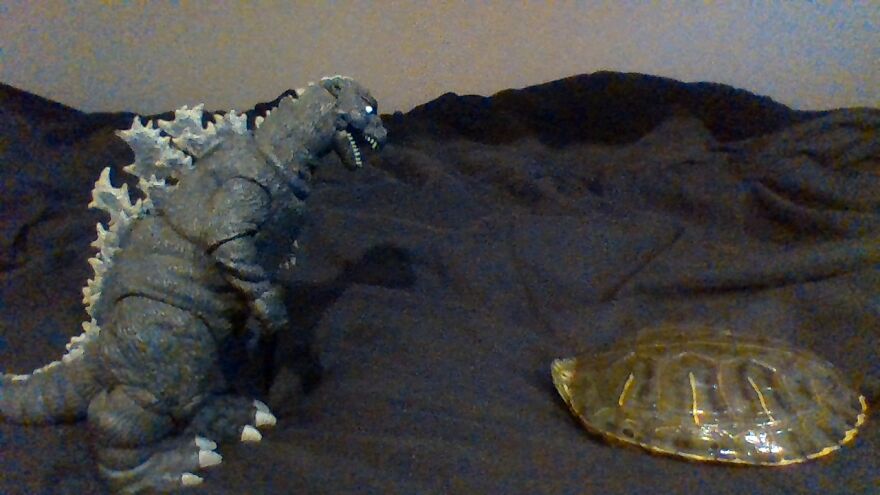 The Battle We All Wanted. Godzilla vs. Gamera! (Gamera Will Be Played By Salvador)
