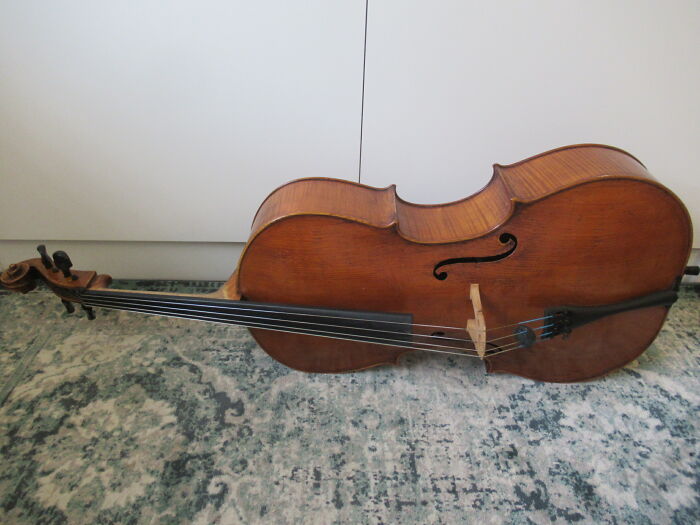 An Old Cello (Valentino De Zorzi, 1887)