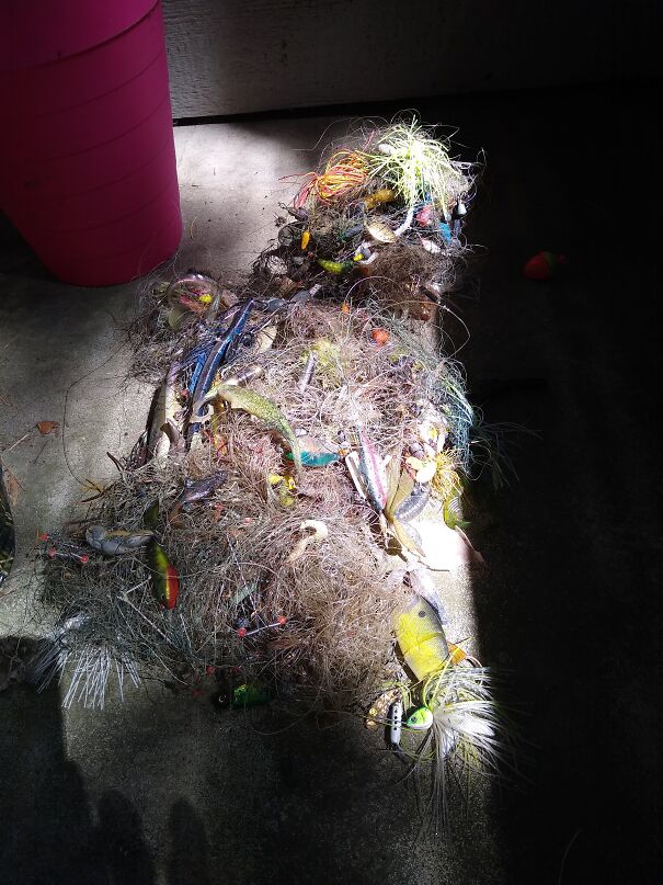 Pulled Off A Sunken Branch In A Small Pond.