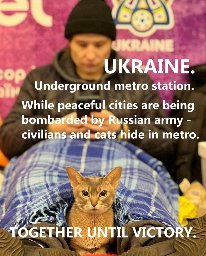Russia Is Invading Ukraine.