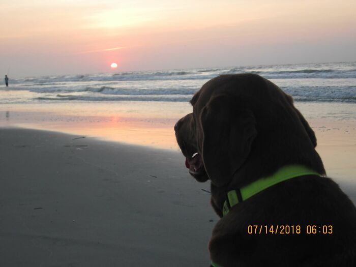 Enjoying Myrtle Beach Sunrise With The Dog, 2017...