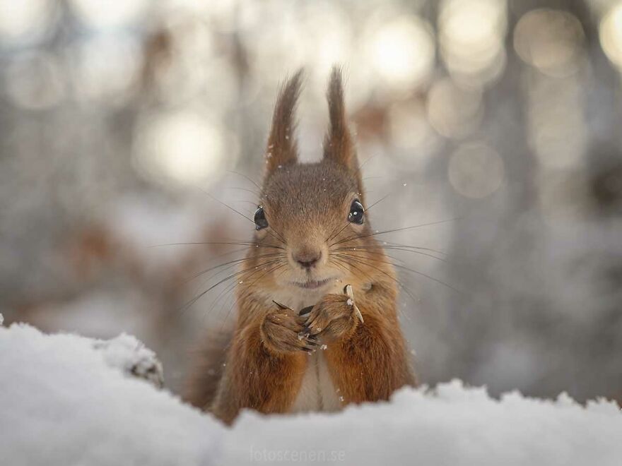 I Feel Good In A Special Way