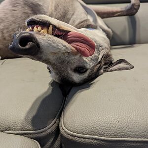 katherinehendrickson avatar