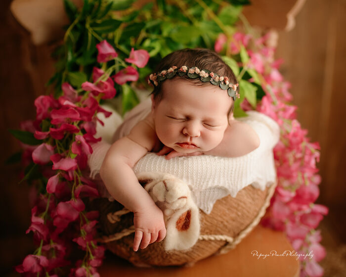 The Precious Little Bunny