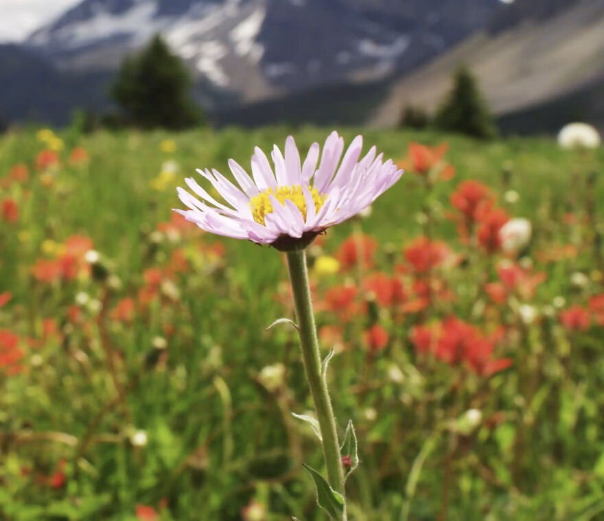 I'm Minting 4k Looping Videos Of National Parks As Nfts And Donating 10% Of The Proceeds To The Sierra Club Foundation.