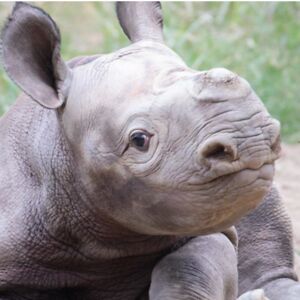 29sunshine-ream avatar