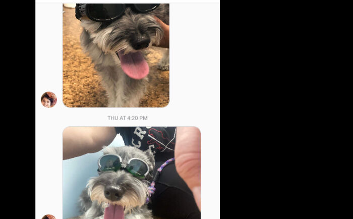 My Aunt's Dog Hurt Her Back And She Has To Have Laser Therapy. My Mom Sent Me These