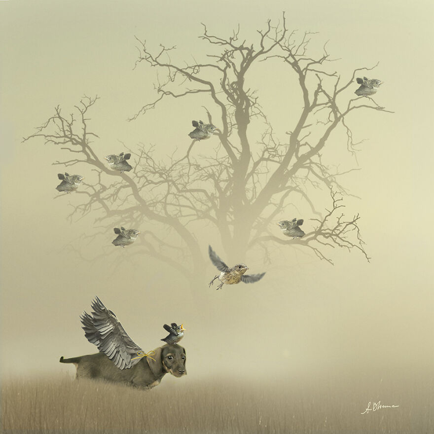 Yora The Bird Whisperer