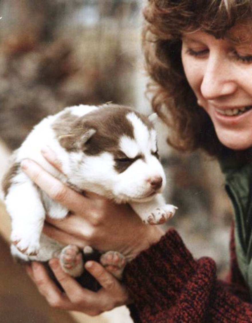 First Litter Of Puppies Was Addictive