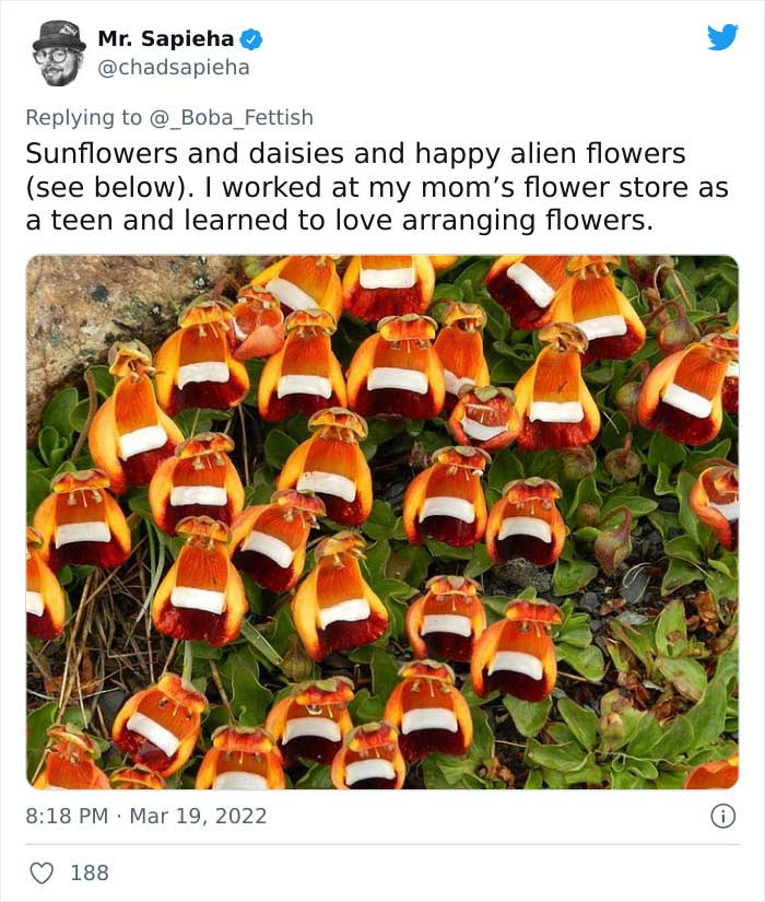 Happy Alien Flowers