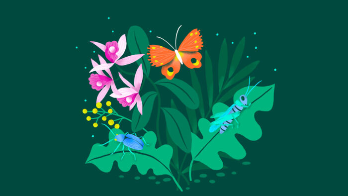 Don't Have A Photo (So Random Pic) And This Is My Mum But One Of Her Great Aunts Was Really Mean And The Only Gift She Ever Gave To My Mum Was A Bottle Of Shampoo With A Card Saying "Now You'll Stink Good".