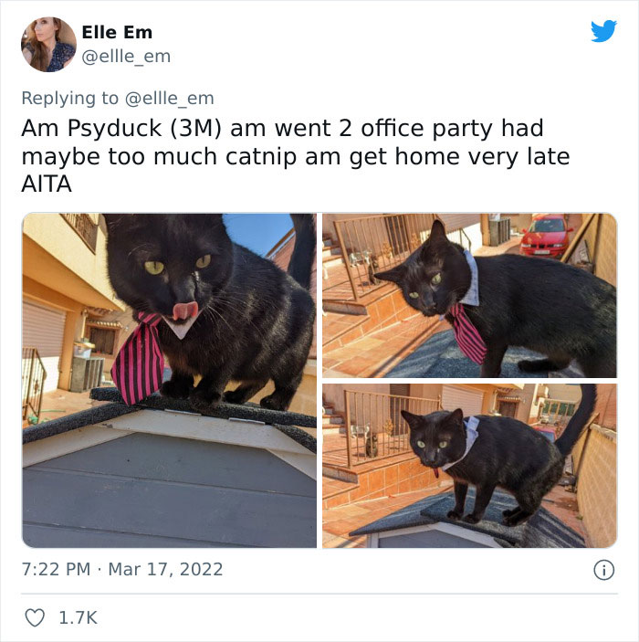 Aita-Cats-Twitter-Thread