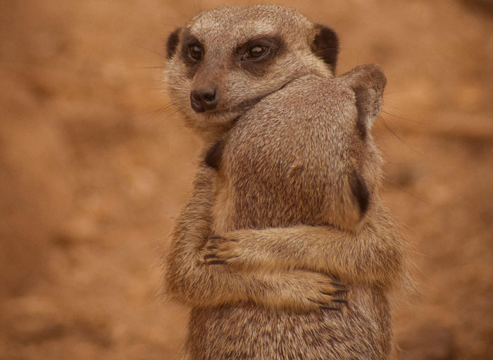 This Reddit Group Is All About Sharing Photos That Amateurs Took, And They Show Just How Good Casual Photographers Are (108 Pics)