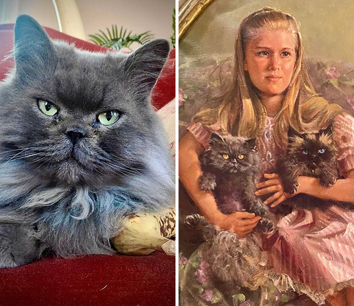 This Bb I Just Adopted Bears An Uncanny Resemblance To This Cat In A Portrait I Thrifted Years Ago!