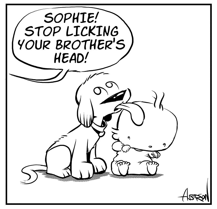 Dog Tongues Preventing Hair Loss Is Misinformation Dog Tongues Preventing Hair Loss Is Misinformation