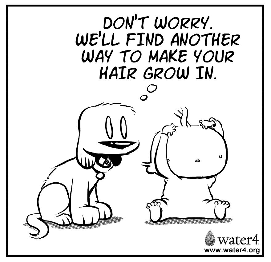 Dog Tongues Preventing Hair Loss Is Misinformation Dog Tongues Preventing Hair Loss Is Misinformation