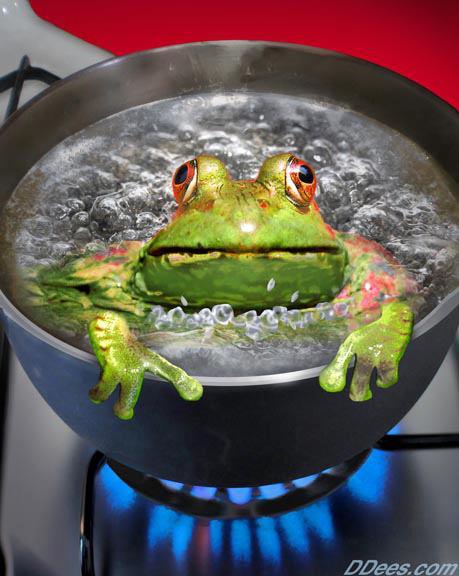 boiling-frog-623fb5d916bc2.jpg