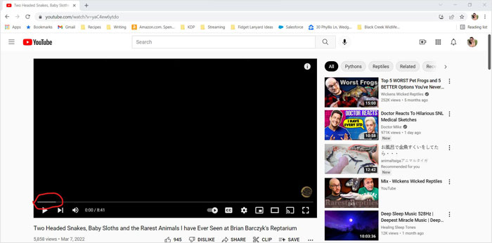Y'all Remember Back In The Early Days Of Youtube Where If We Didn't Want The Video To Buffer Every Five Minute, We Would Wait For The White Line To Go All The Way To The End Of Video? Or Did I Just Have Really Bad Internet Connection?