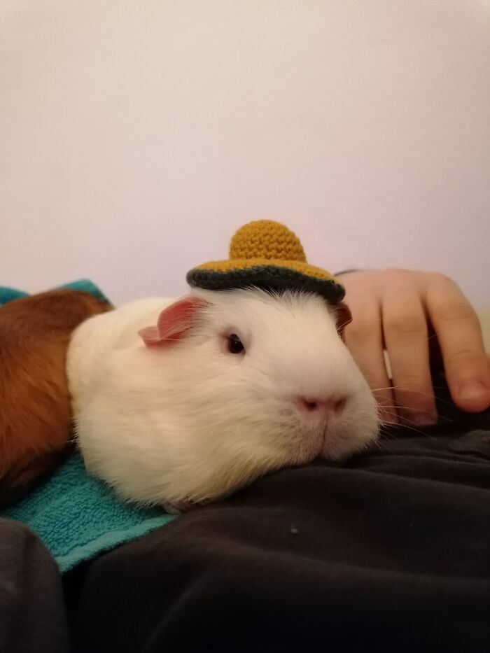 Mogens, Wearing His Sunday Hat