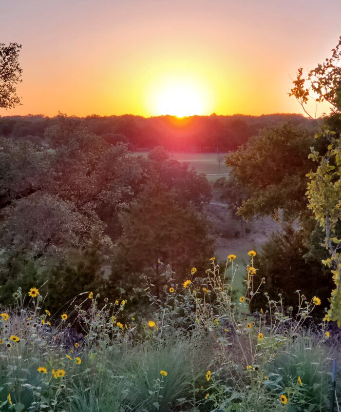 Georgetown, Texas - Overlooking The Golf Course Behind My Apartment