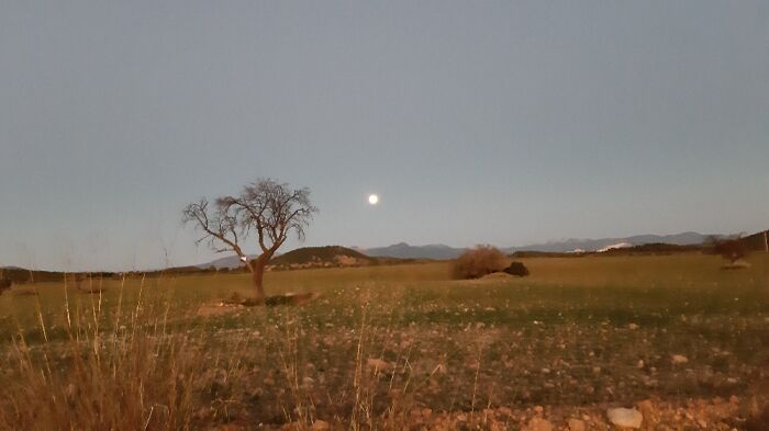 Full Moon In The Early Morning. Bullas, In Murcia, Spain