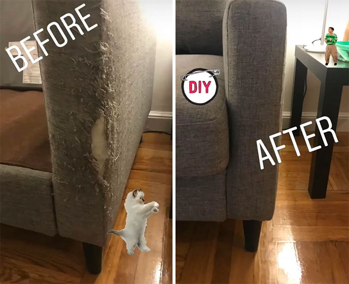 Cat Tore Up My Couch, But I Was Able To Fix It For Free!