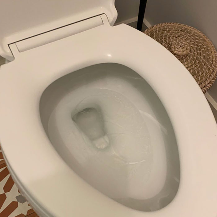 Y’all Ever Seen Frozen Toilet Water