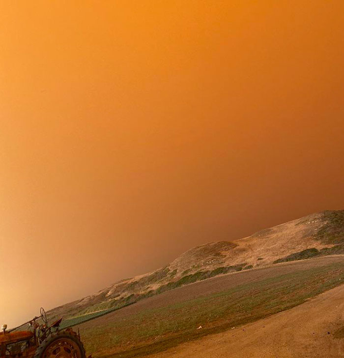 In Santa Cruz, California, The Sky Is Literally Orange Because Of Fires