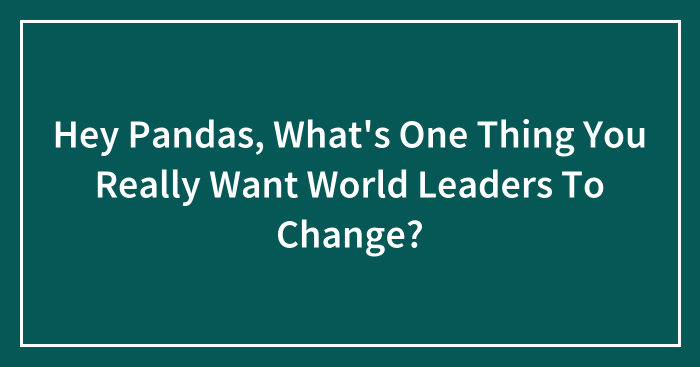 Hey Pandas, What’s One Thing You Really Want World Leaders To Change? (Closed)