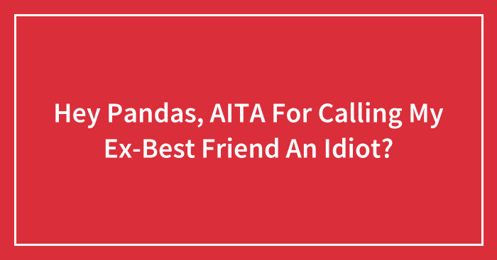 Hey Pandas, AITA For Calling My Ex-Best Friend An Idiot? (Closed)
