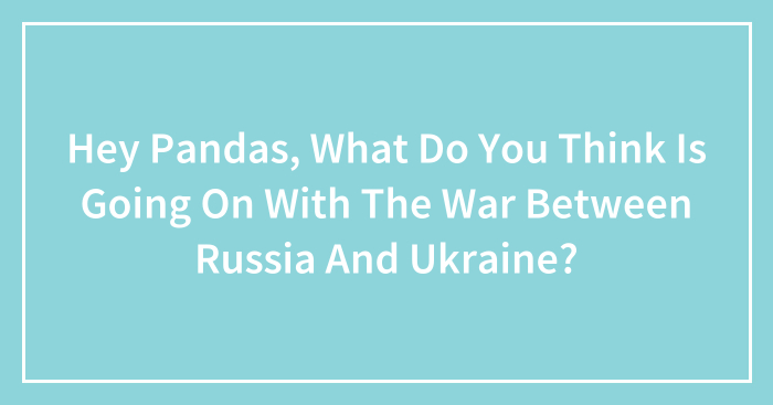 Hey Pandas, What Do You Think Is Going On With The War Between Russia And Ukraine? (Closed)