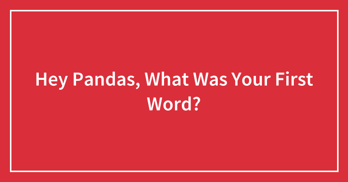 Hey Pandas, What Was Your First Word? (Closed)