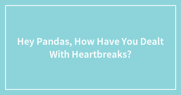 Hey Pandas, How Have You Dealt With Heartbreaks? (Closed)
