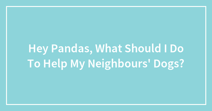 Hey Pandas, What Should I Do To Help My Neighbours’ Dogs? (Closed)