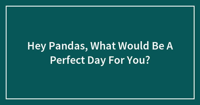 Hey Pandas, What Would Be A Perfect Day For You? (Closed)