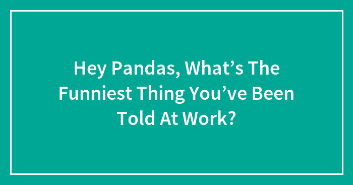 Hey Pandas, What’s The Funniest Thing You’ve Been Told At Work? (Closed)