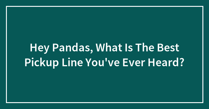 Hey Pandas, What Is The Best Pickup Line You’ve Ever Heard? (Closed)