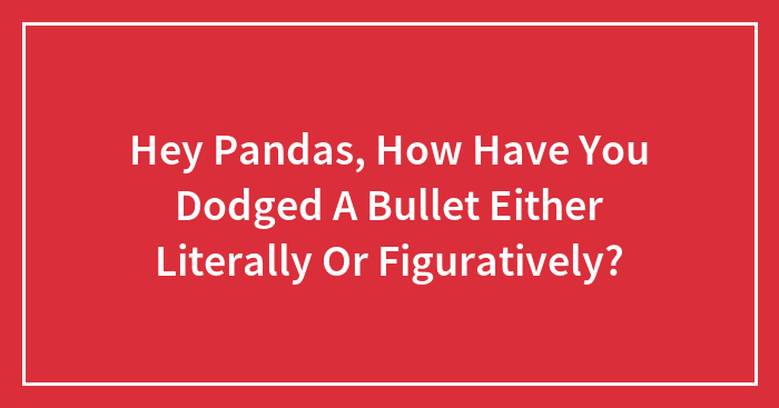 Hey Pandas, How Have You Dodged A Bullet Either Literally Or Figuratively? (Closed)