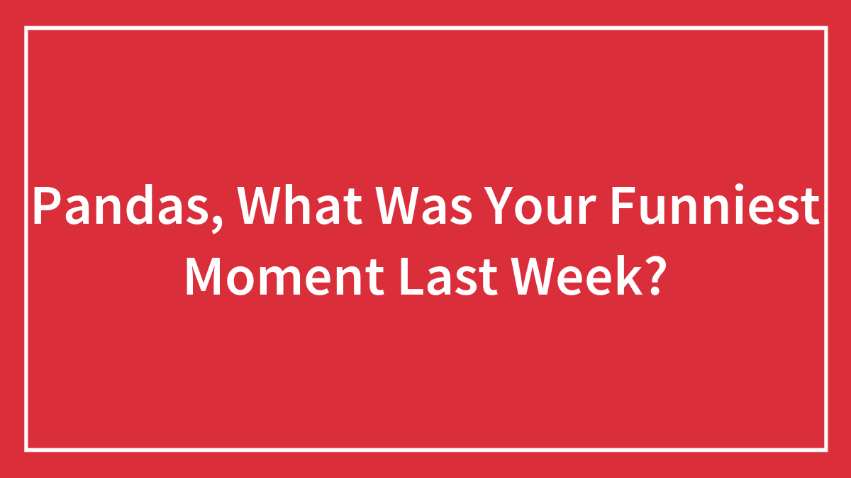 Pandas, What Was Your Funniest Moment Last Week?