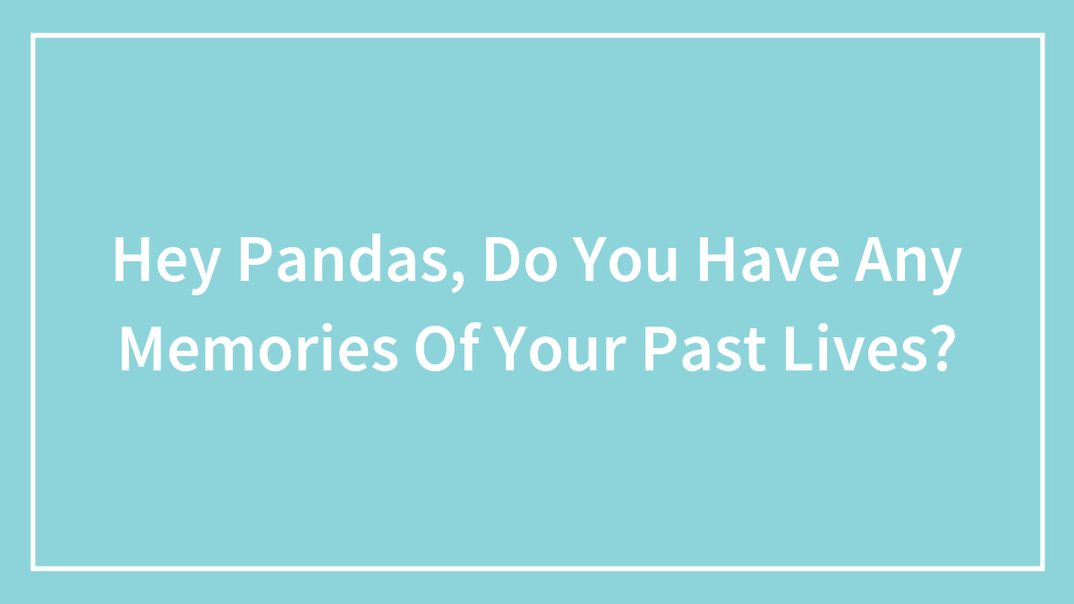 Hey Pandas, Do You Have Any Memories Of Your Past Lives?