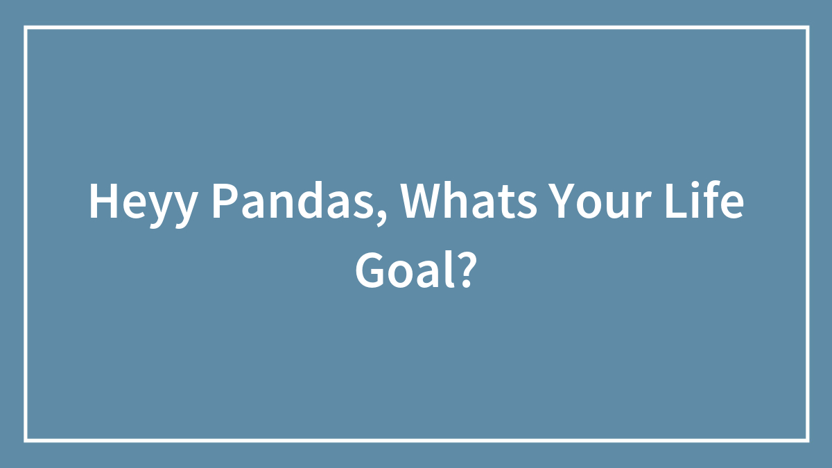 Heyy Pandas, Whats Your Life Goal?