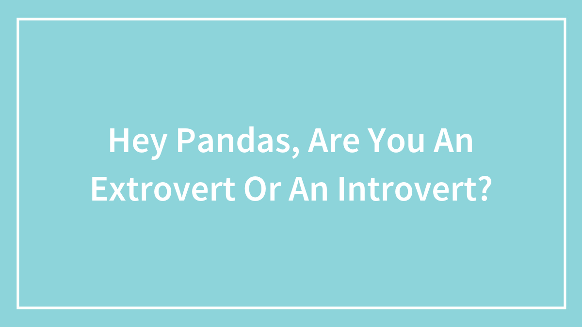 Hey Pandas, Are You An Extrovert Or An Introvert? (Closed)