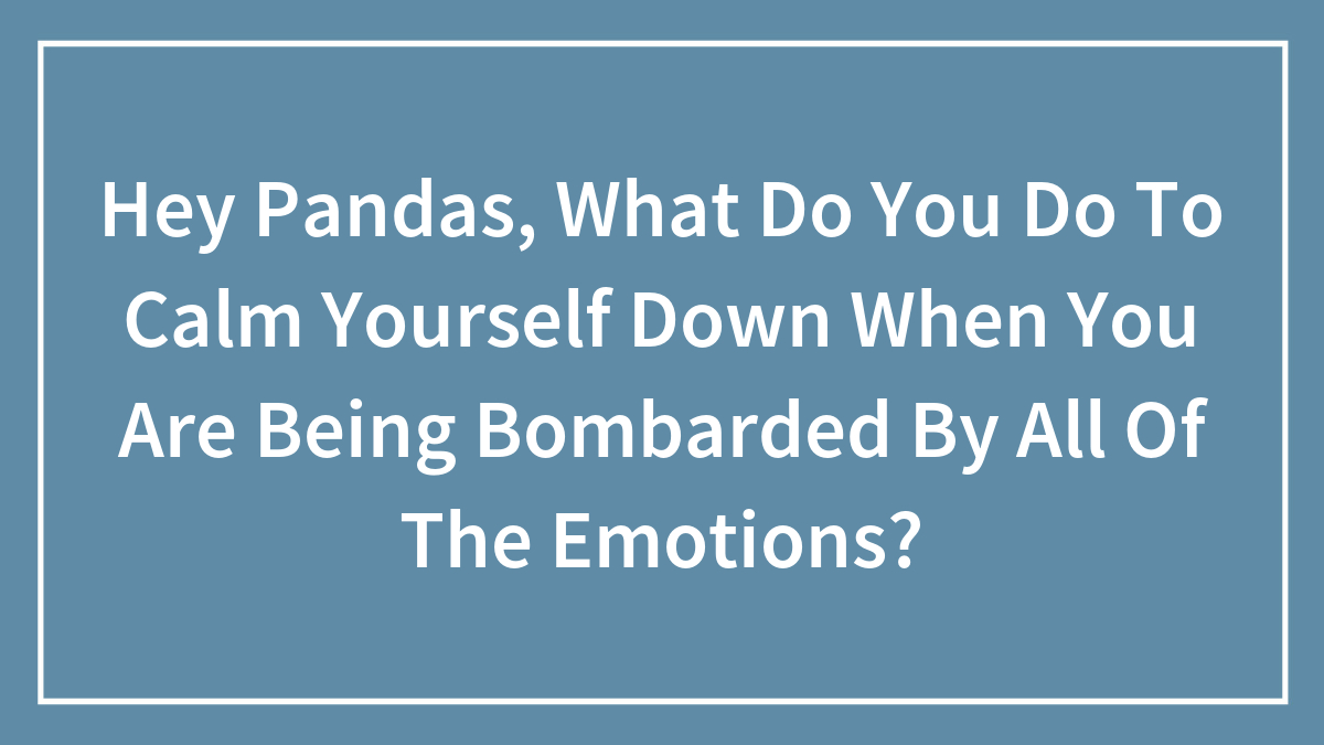 Hey Pandas, What Do You Do To Calm Yourself Down When You Are Being Bombarded By All Of The Emotions? (Closed)