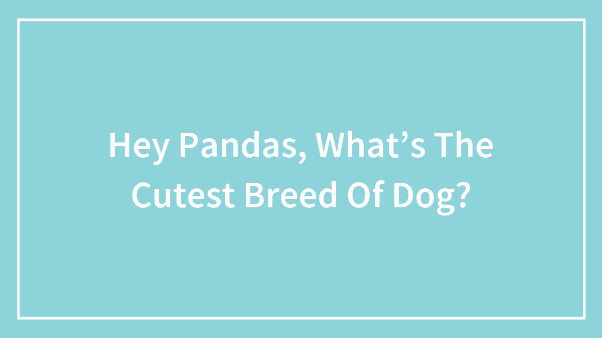 Hey Pandas, What’s The Cutest Breed Of Dog?