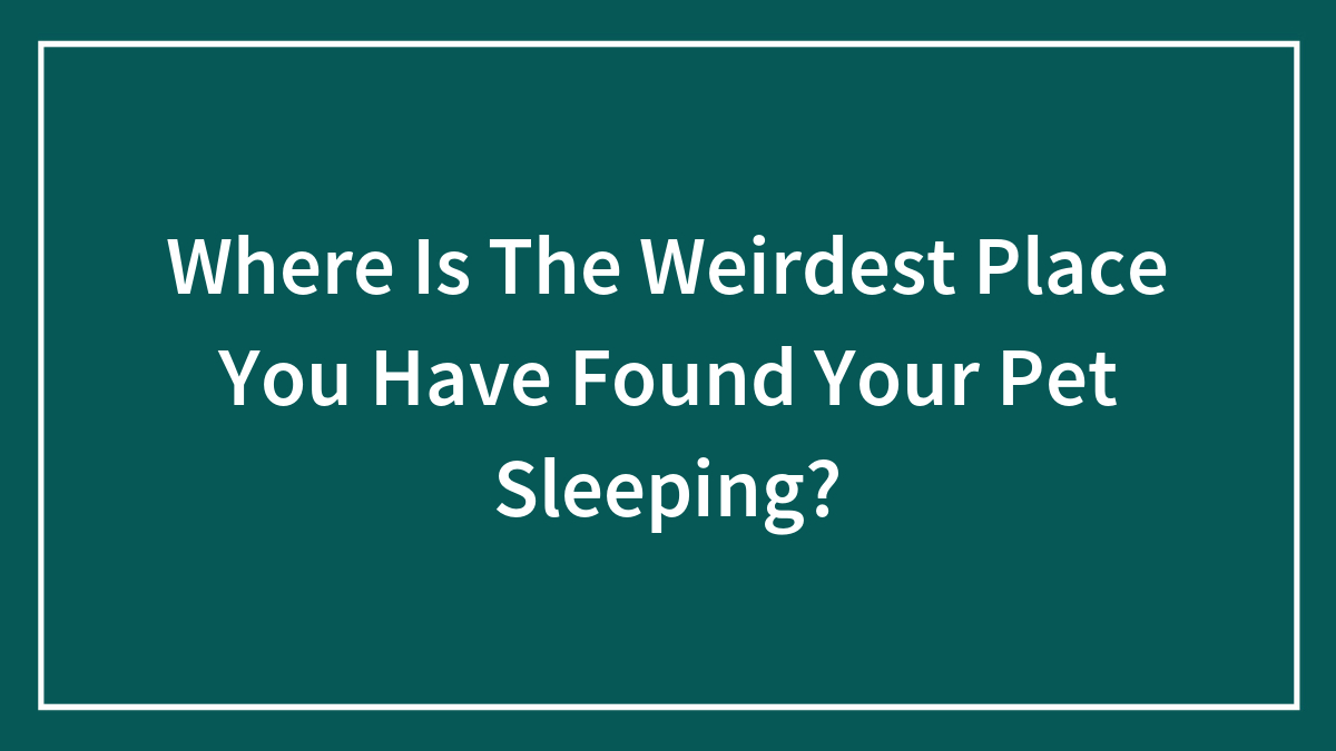 Where Is The Weirdest Place You Have Found Your Pet Sleeping?