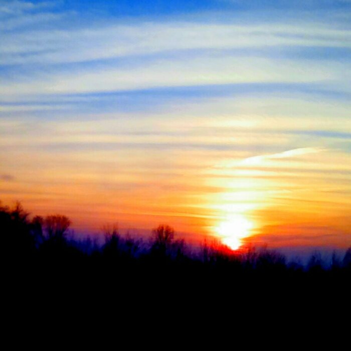 Hey Pandas, Post A Picture Of What It Looks Like Outside From Where You Are Sitting (Closed)